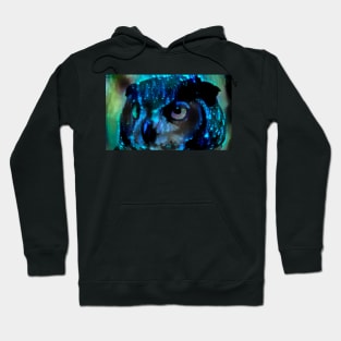 Owl Hoodie